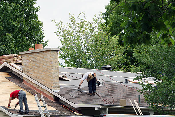 Best Roof Maintenance Services  in Wilsonville, AL
