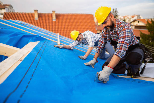 Best Storm Damage Roof Repair  in Wilsonville, AL