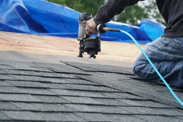 Best Roof Gutter Cleaning  in Wilsonville, AL