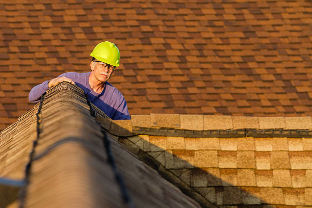 Best Roof Inspection Near Me  in Wilsonville, AL