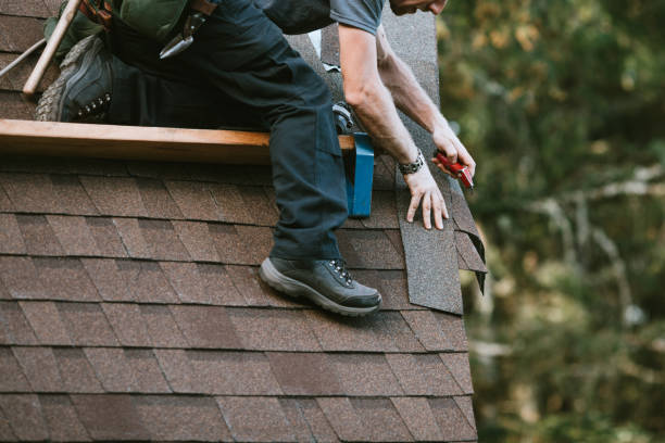 Best Roof Gutter Cleaning  in Wilsonville, AL
