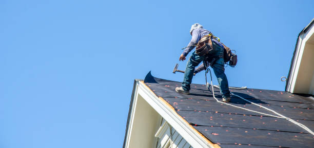 Best Shingle Roofing Installation  in Wilsonville, AL